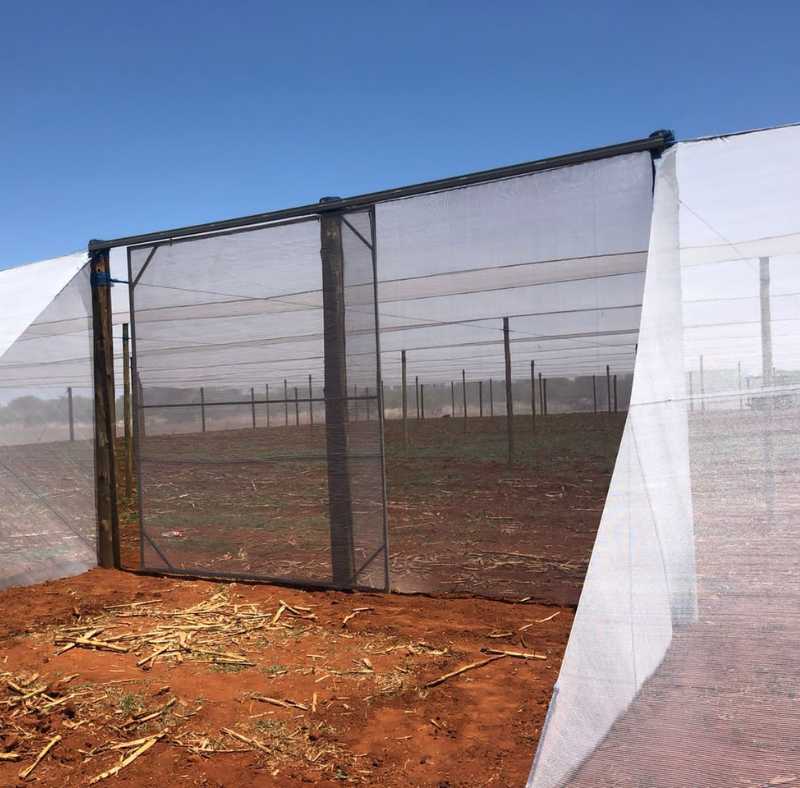 Net house construction 2